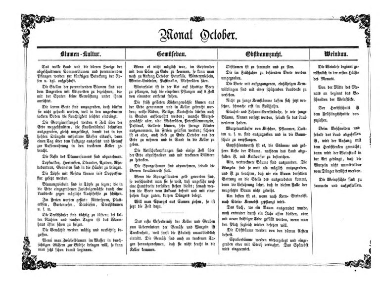 Gartenkalender für den Monat Oktober von Carl Umlauff 1862 bestehend aus Blumenkultur, Gemüsebau, Obstbau und Weinbau