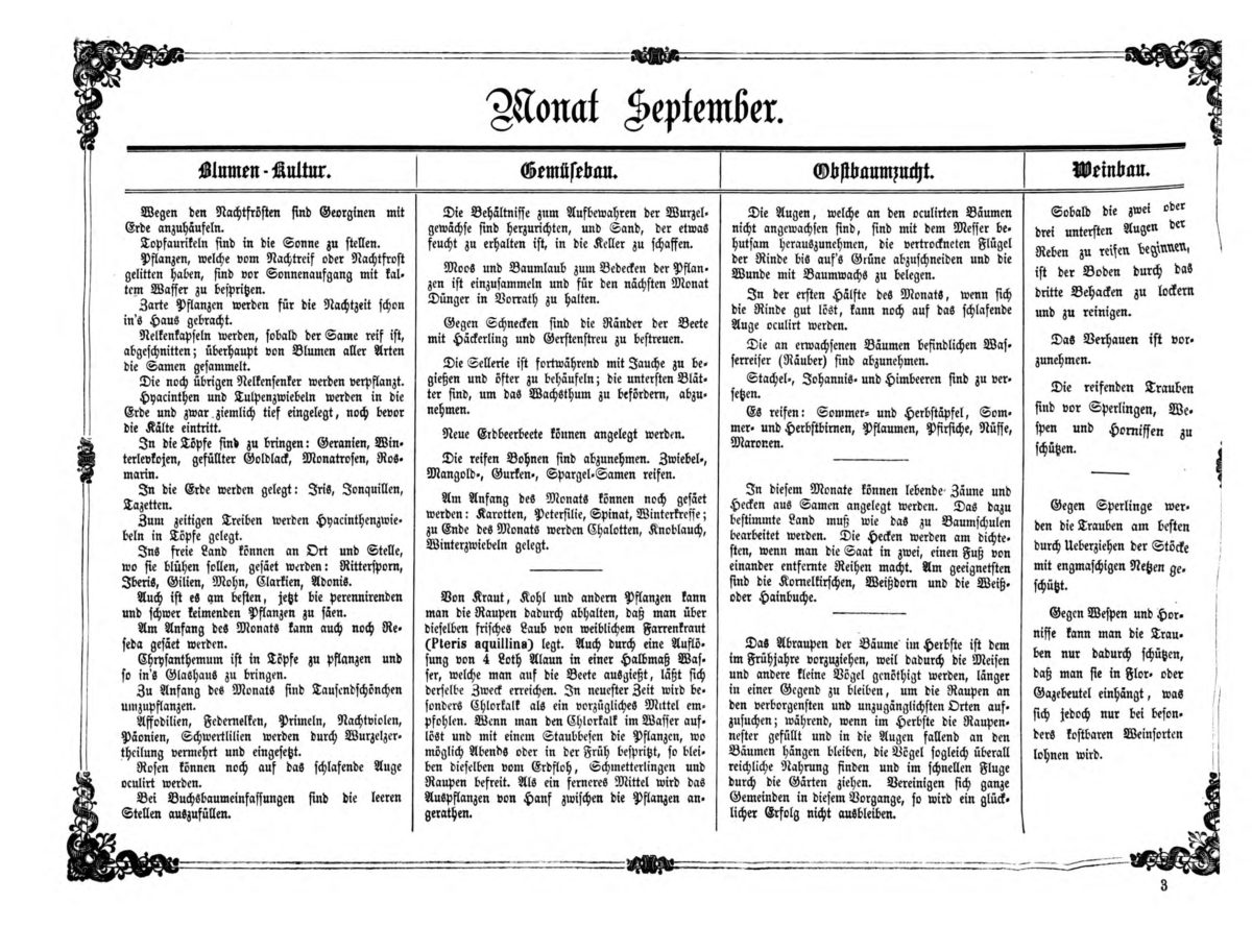 Gartenkalender für den Monat September von Carl Umlauff 1862 bestehend aus Blumenkultur, Gemüsebau, Obstbau und Weinbau