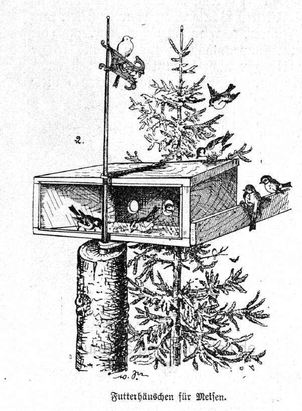Das Bild zeigt ein Vogelhäuschen zur Fütterung von Meisen.