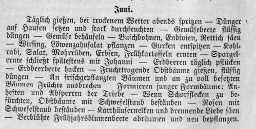 gartenarbeiten-im-juni