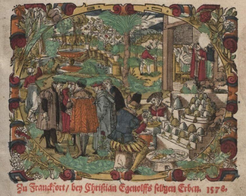 mittelalterlischer-kraeutermarkt
