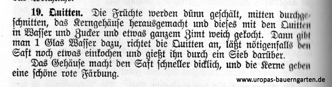 Die Abbildung beinhaltet ein altes deutsches Rezept für die Herstellung von Quittenkompott bzw. Quittennachtisch.