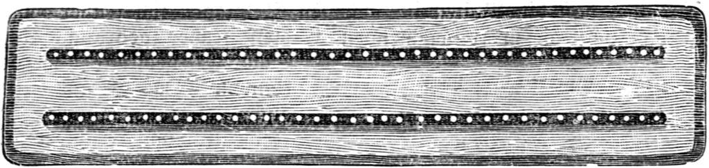 Das Bild zeigt ein Beet, auf dem Erbsen (Pisum sativum) ausgesät sind.