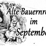 Das Foto beinhaltet ein Bild von einem jungen Mann und einer jungen Dame. Der Mann bzw. Junge zieht gerade einen Handwagen Stroh. Das Mädchen sitzt auf einer Bank. Es ist eine Szene im September.